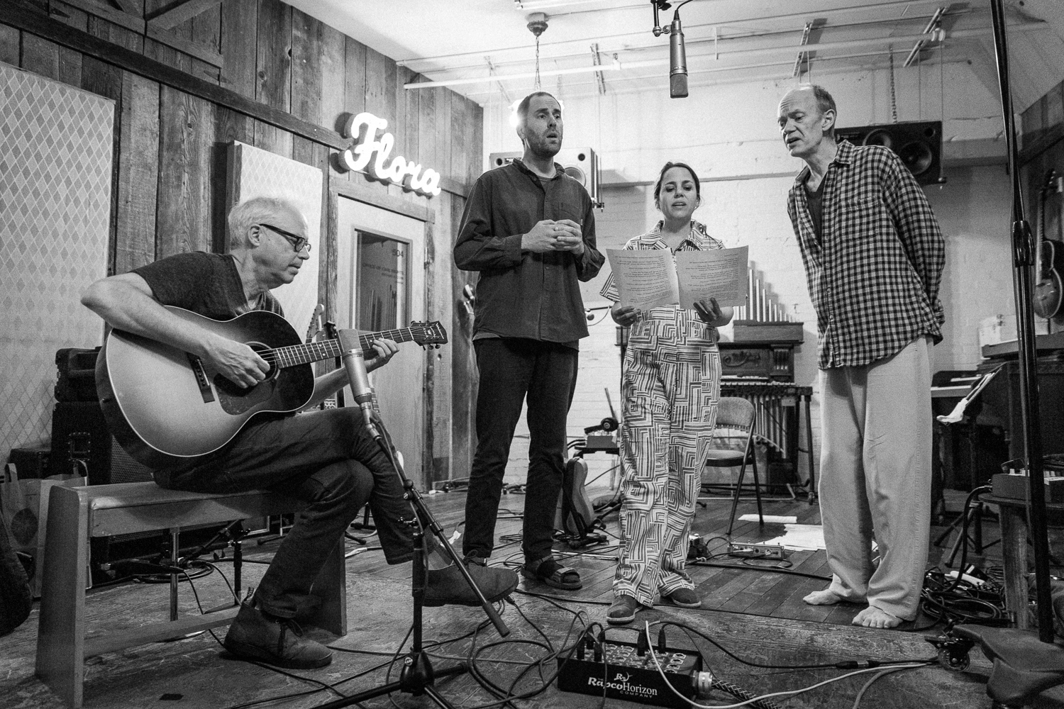 Bill Frisell Harmony