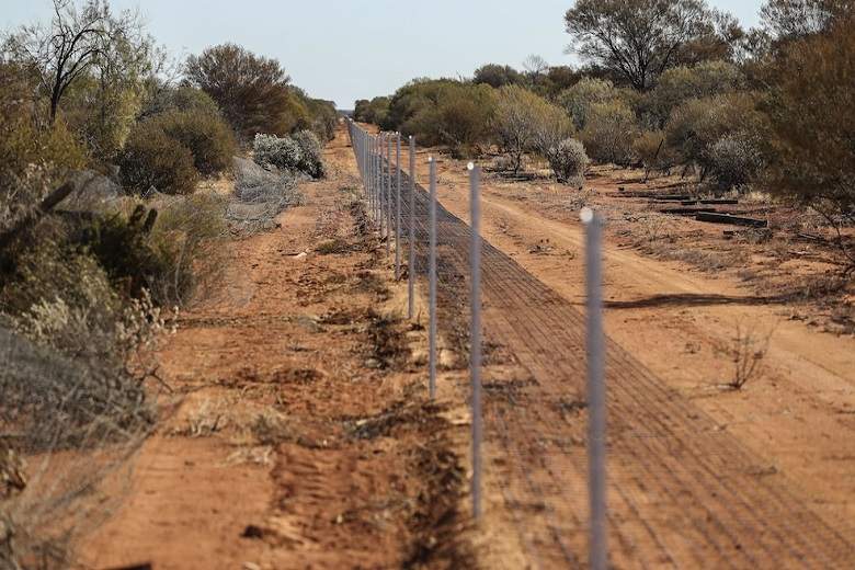 La Rabbit-proof-fence, altrimenti detta "recinzione del coniglietto"