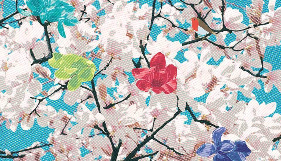 true flowers argoimago turidistefano
