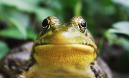 Ph. Jack Hamilton | Unsplash