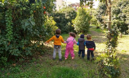 La foto di una lezione organizzata da "A Casa di Momo" | Fonte pagina Facebook ufficiale